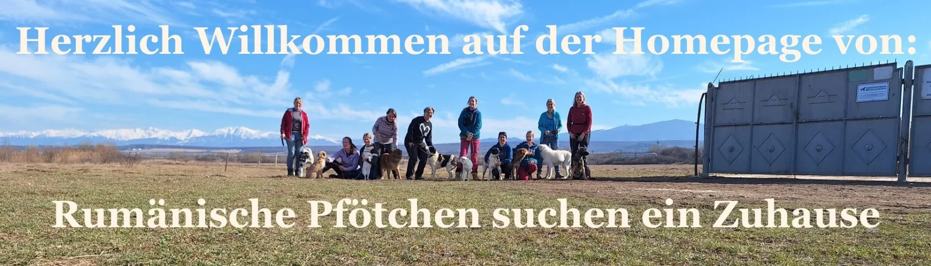 Pfoetchen-Zuhause